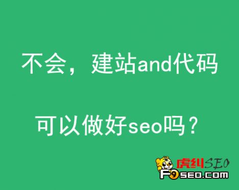 不会建站，不会代码，可以做seo吗？