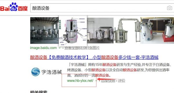 老域名排名案例分析